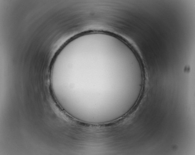 X0000116000887200911191211
