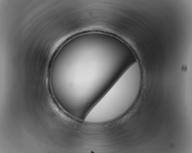 X0000116000888200911191211