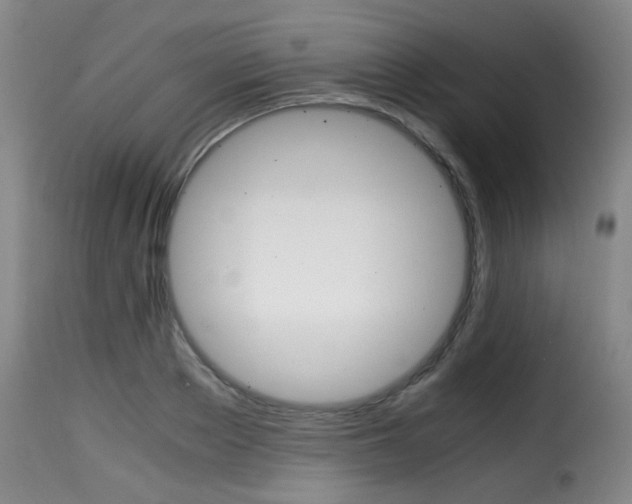 X0000116000889200911191211