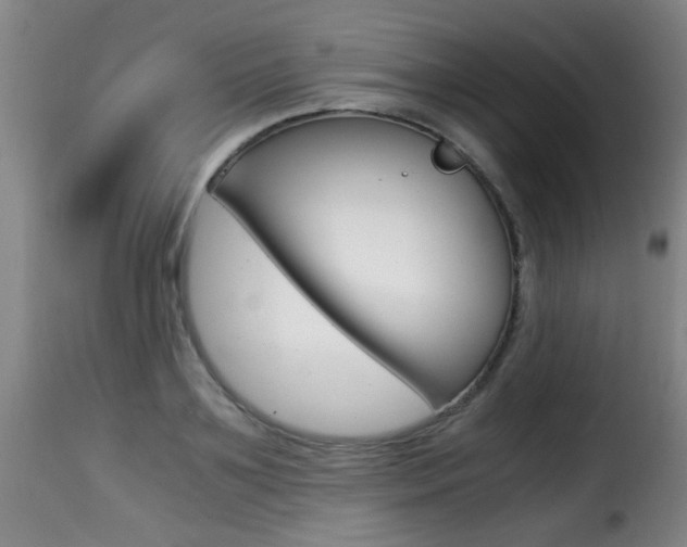 X0000116000891200911191211