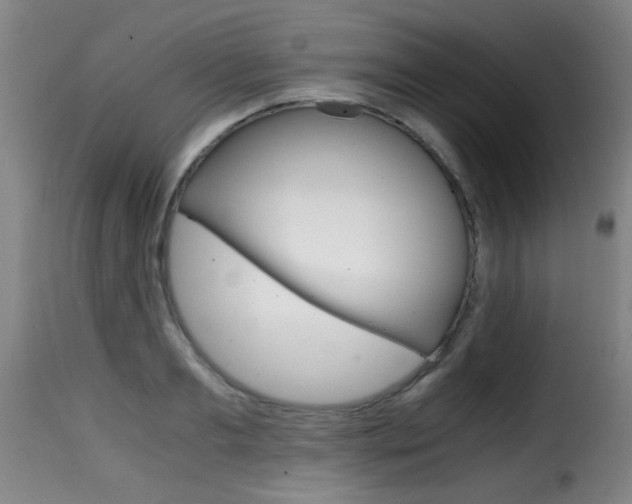 X0000116000893200911191211