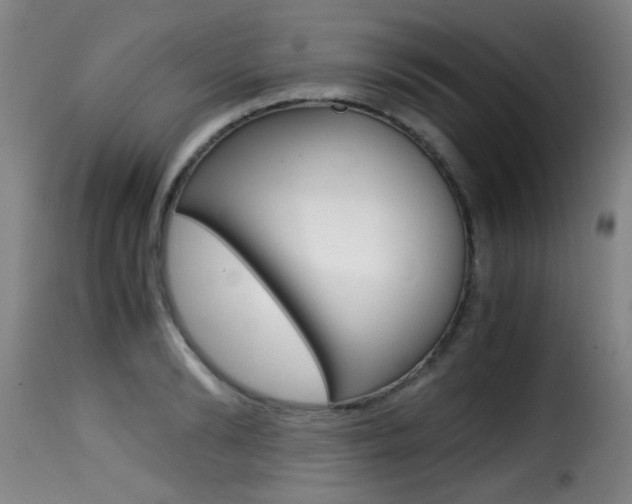 X0000116000894200911191211
