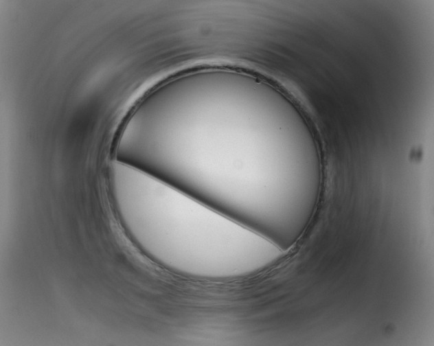 X0000116000895200911191211