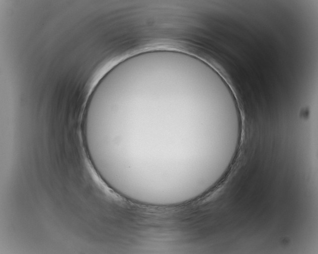 X0000116000901200911191211