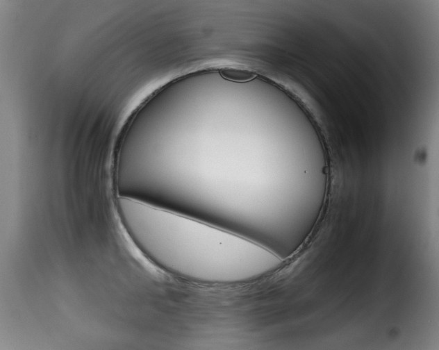X0000116000902200911191211