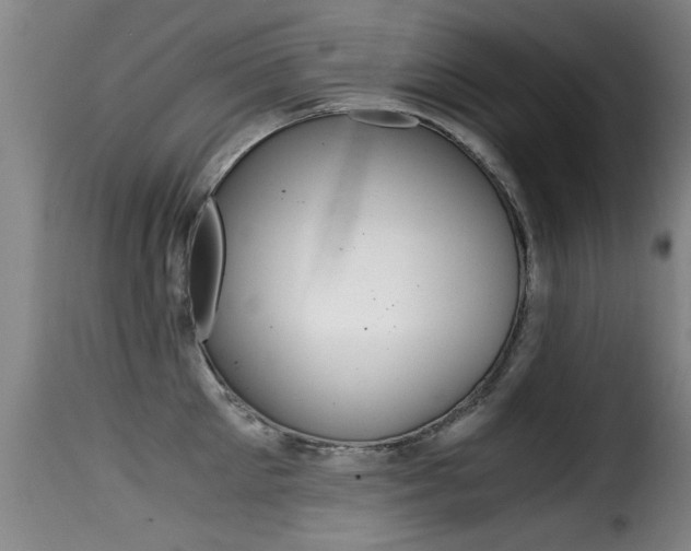 X0000116000905200911191211