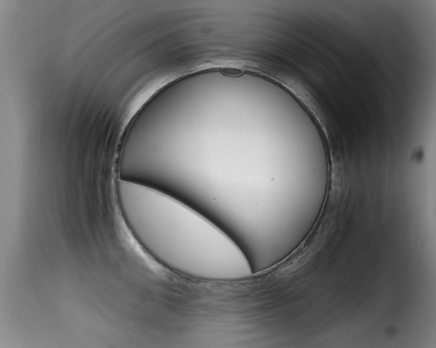 X0000116000906200911191211