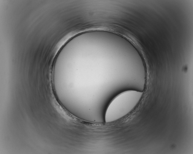 X0000116000907200911191211