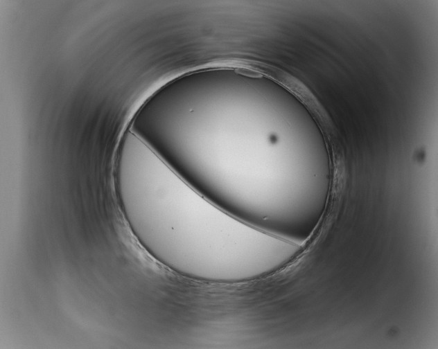 X0000116000908200911191211