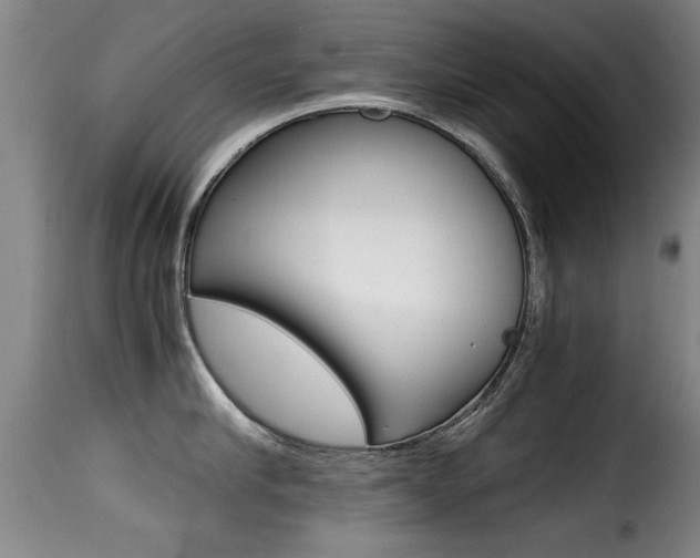 X0000116000910200911191211