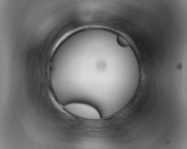 X0000116000911200911191211