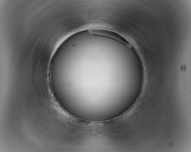 X0000116000912200911191211