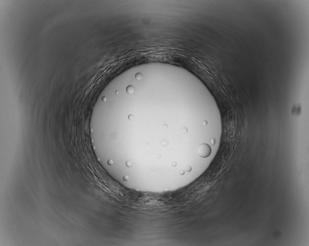 X0000116000913200911191210