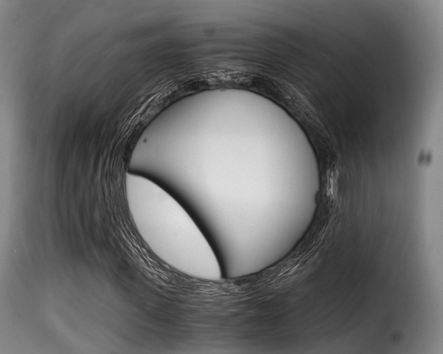 X0000116000915200911191210