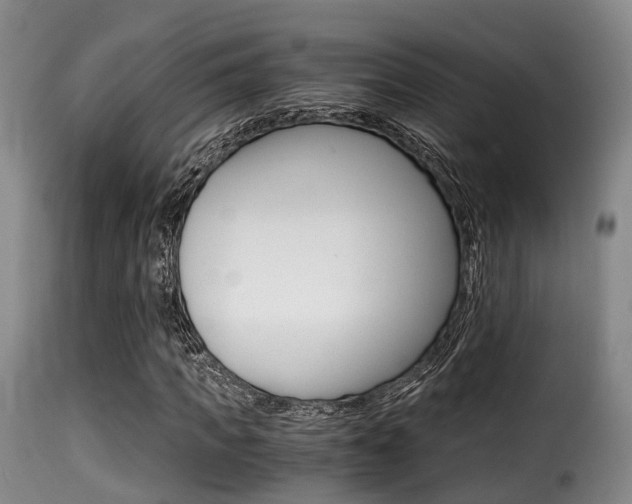 X0000116000917200911191210