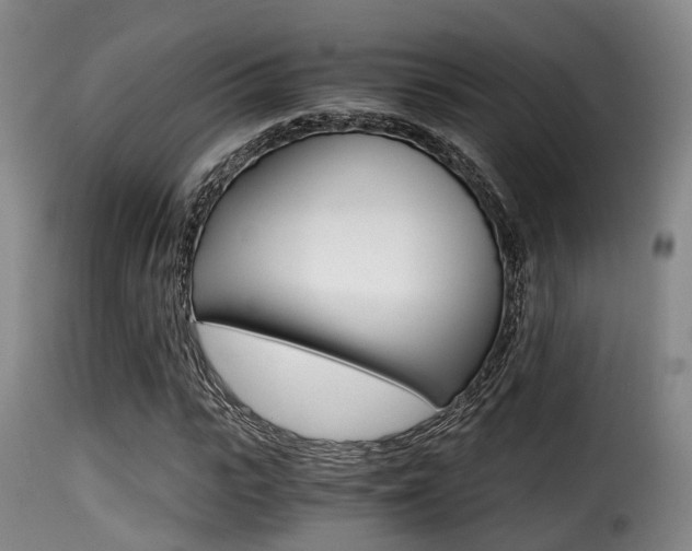 X0000116000919200911191210