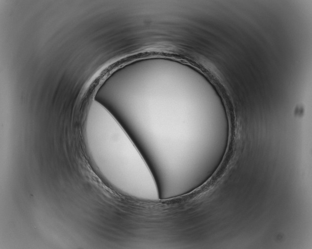 X0000116000923200911191210