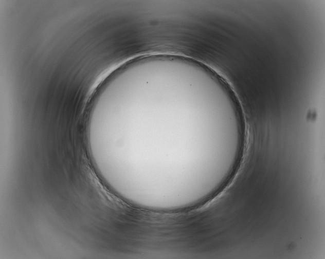X0000116000925200911191210