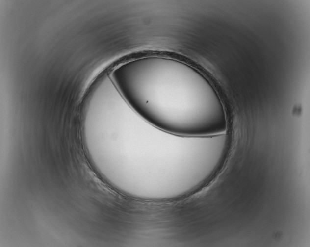X0000116000926200911191210