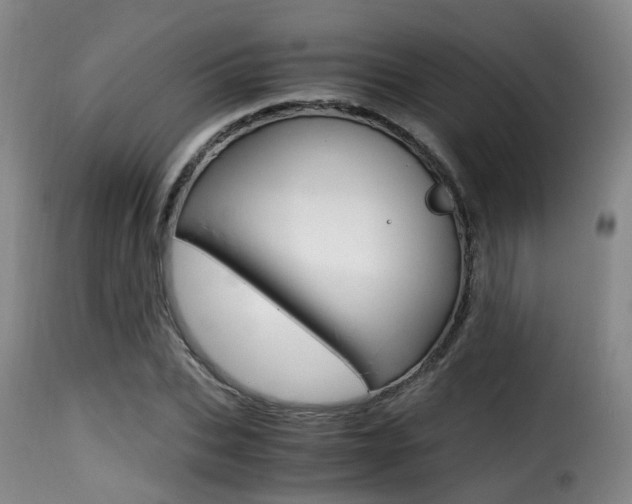 X0000116000927200911191210