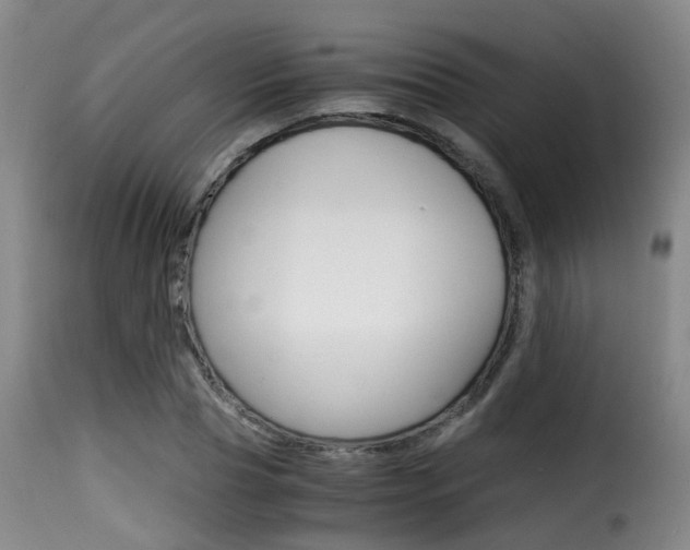 X0000116000929200911191210