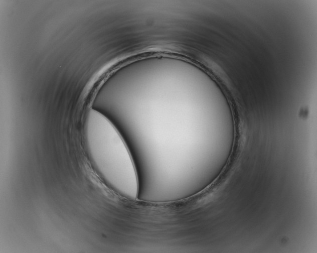 X0000116000931200911191210
