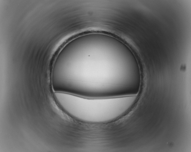 X0000116000934200911191210