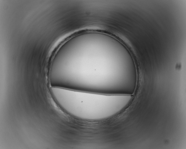 X0000116000935200911191210