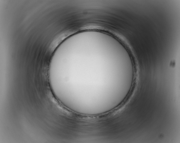 X0000116000937200911191210
