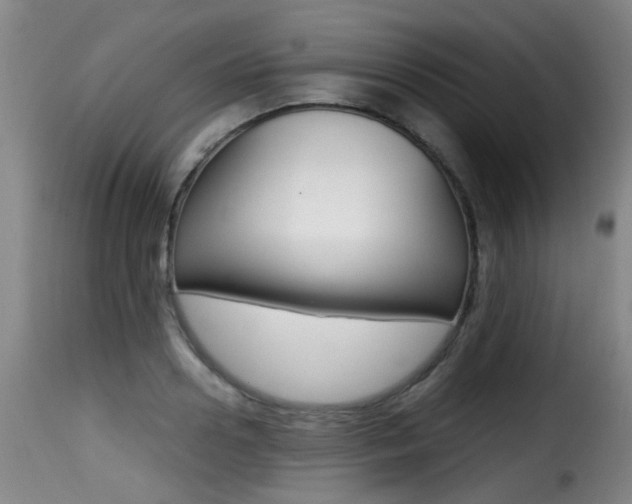 X0000116000938200911191211