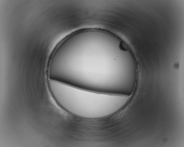 X0000116000943200911191211