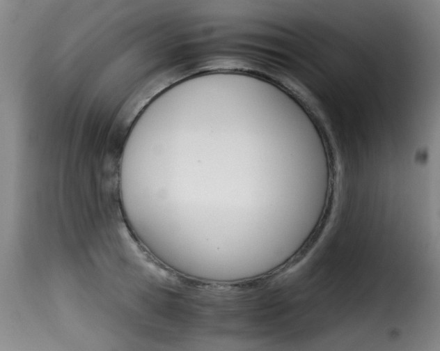 X0000116000945200911191211