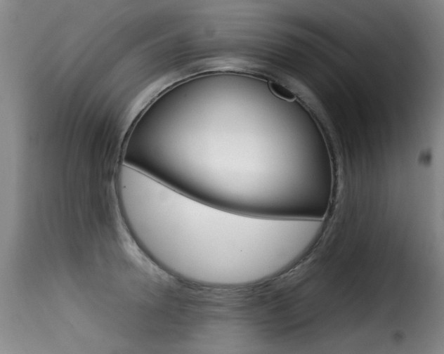 X0000116000946200911191211