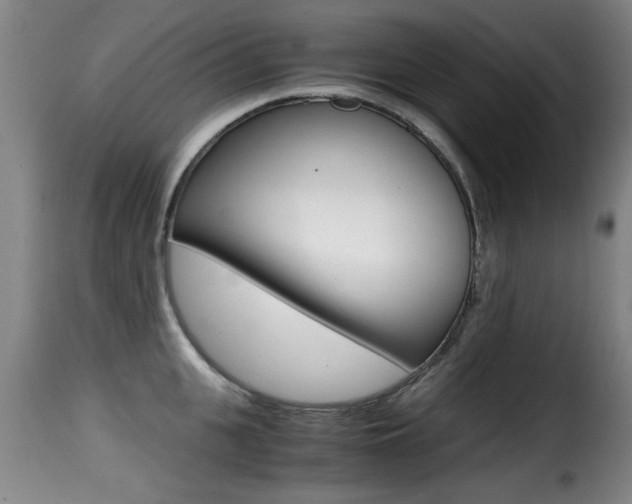 X0000116000951200911191211