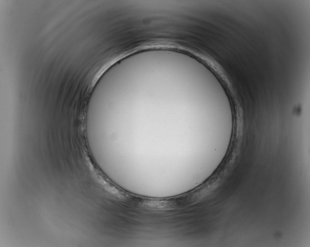 X0000116000953200911191211
