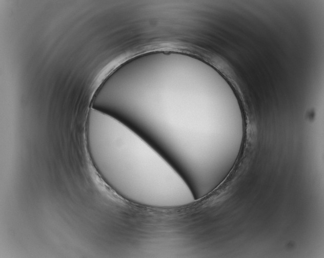 X0000116000954200911191211