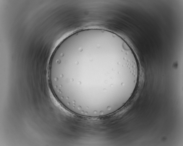 X0000116000957200911191211