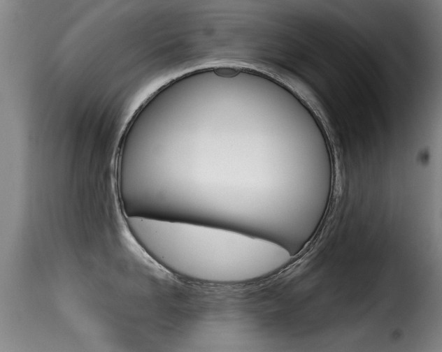 X0000116000958200911191211