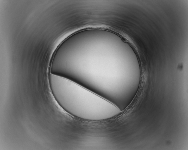 X0000116000959200911191211