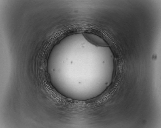 X0000116000961200911191210