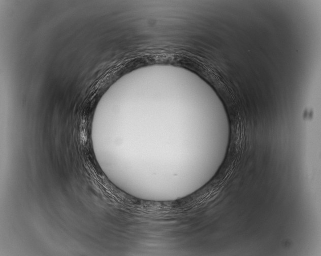 X0000116000962200911191210