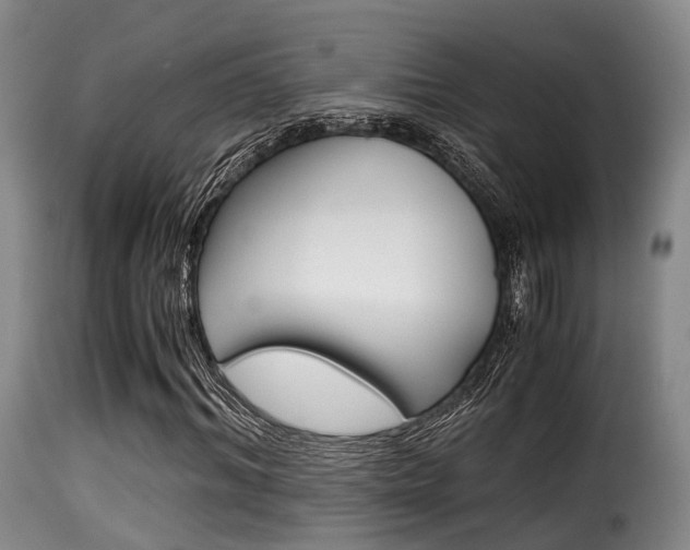 X0000116000964200911191210