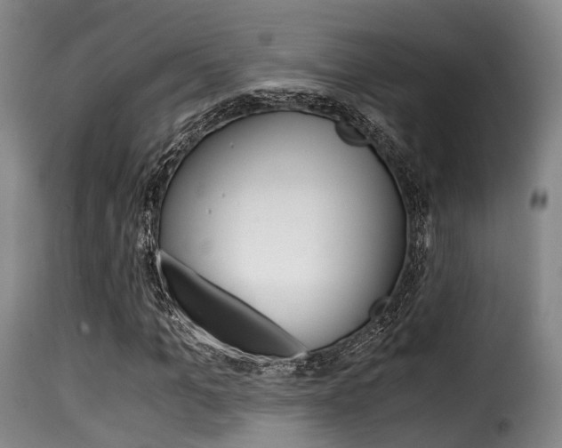 X0000116000965200911191210
