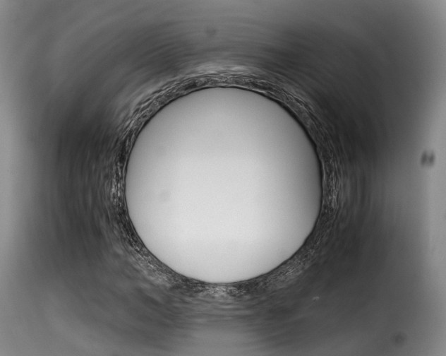 X0000116000966200911191210