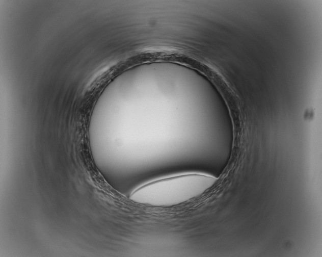 X0000116000967200911191210