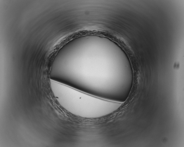 X0000116000968200911191210