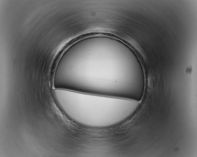 X0000116000972200911191210