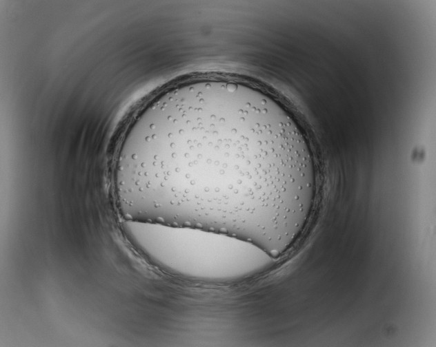 X0000116000974200911191210