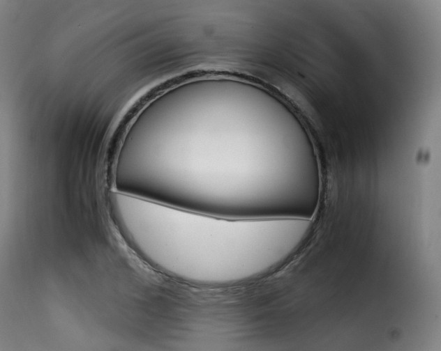 X0000116000976200911191210