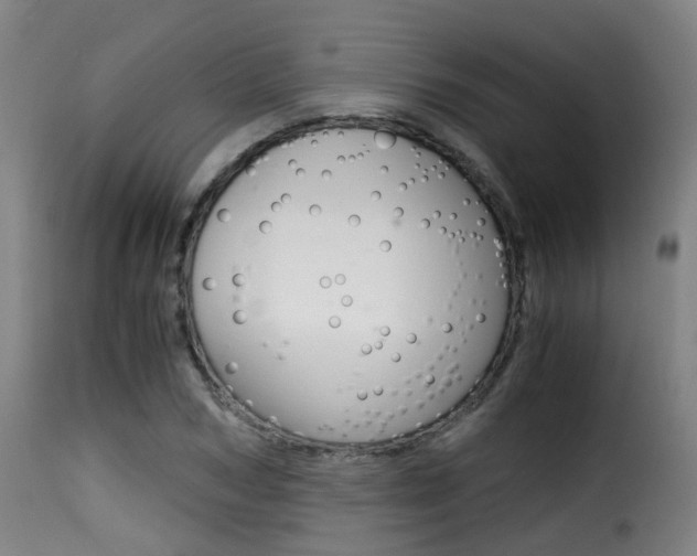 X0000116000978200911191210